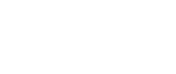 Logo: Swanky Studios